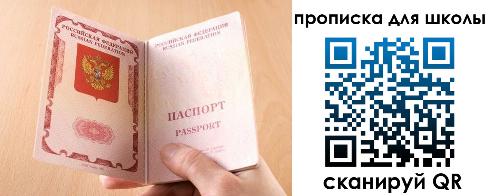 прописка в Жуковском